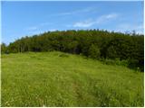 Col - Javornik above Črni vrh